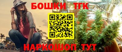 Альфа ПВП Обь