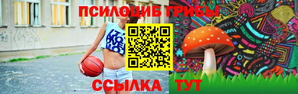 Псилоцибиновые грибы ЛСД  Вход с VPN  Тамбов 